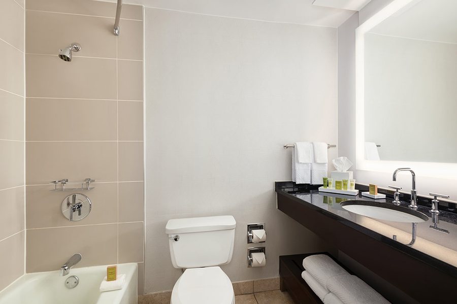 Hampton Inn Suites By Hilton Atlanta Perimeter Dunwoody — Bathroom
