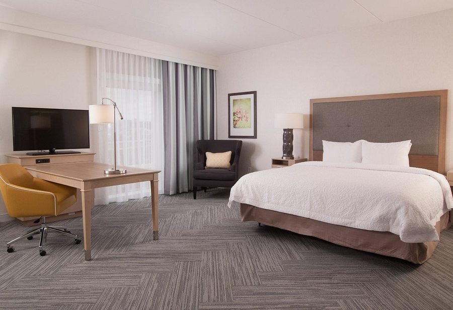 Hampton Inn Suites By Hilton Augusta washington Rd — Guest room