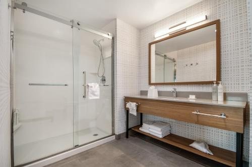 Hampton Inn Suites by Hilton Irving DFW Airport North — Bathroom