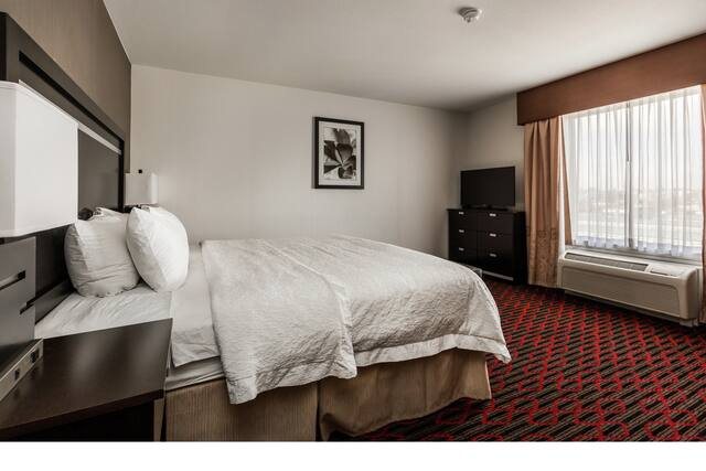 Hampton Inn Suites by Hilton Lethbridge — Guest room