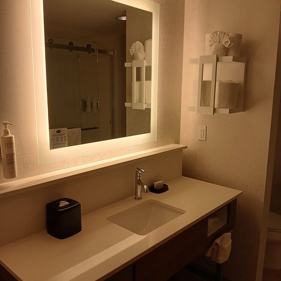 Hampton Inn Suites Dallas Arlington North Entertainment District — Bathroom