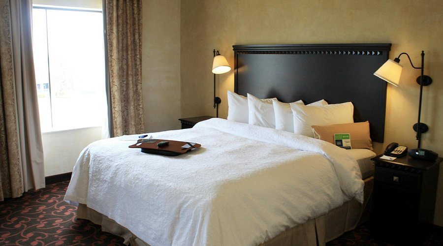 Hampton Inn Suites Dallas Arlington North Entertainment District — Guest room