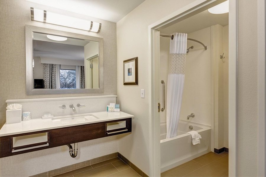 Hampton Inn Suites Dallas Arlington South — Bathroom