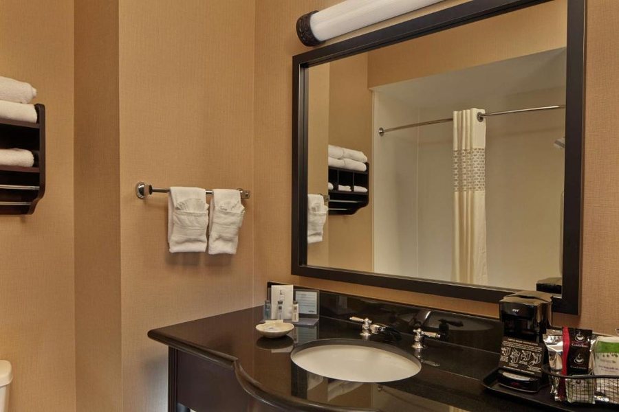 Hampton Inn Suites Decatur — Bathroom