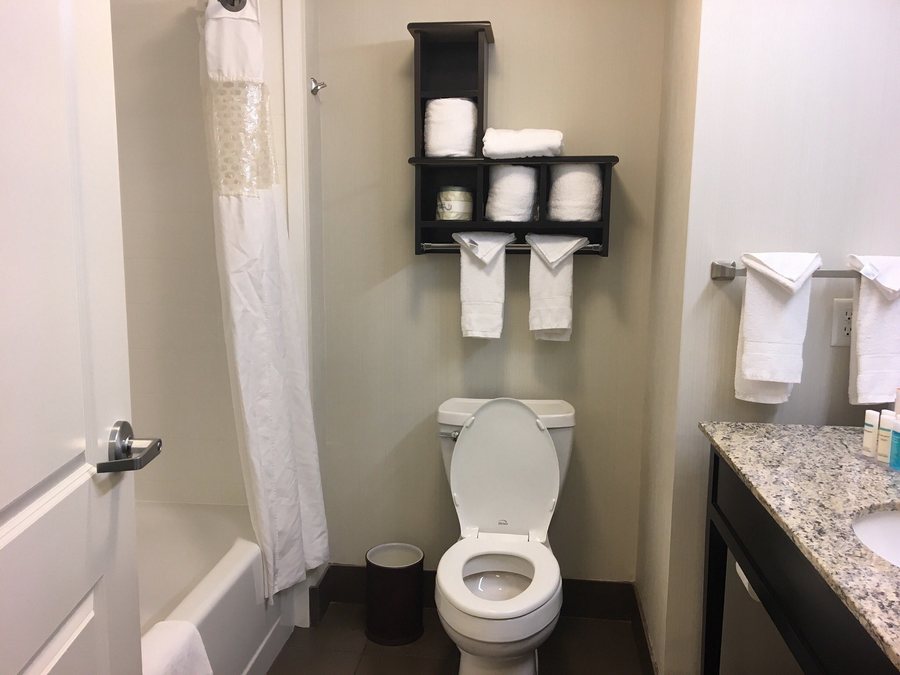 Hampton Inn Suites Denver Airport Gateway Park — Bathroom