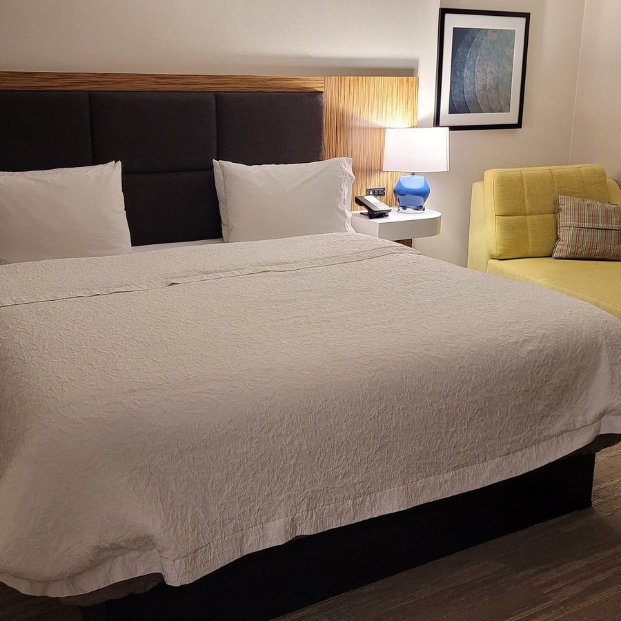 Hampton Inn Suites Detroit Warren — Guest room