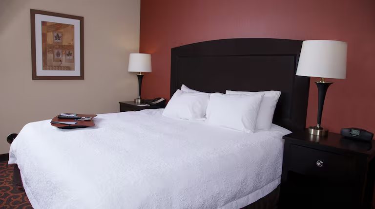 Hampton Inn Suites Dickinson — Guest room