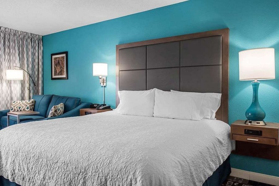 Hampton Inn Suites Douglas — Guest room