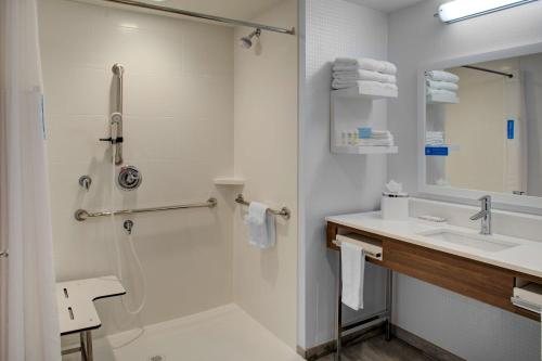Hampton Inn Suites Flagstaff — Bathroom