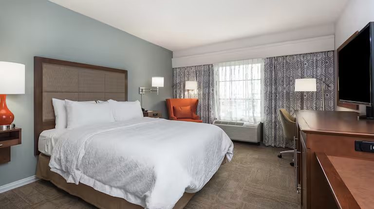Hampton Inn Suites Florence Center — Guest room