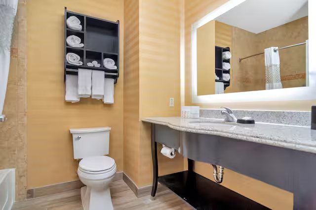 Hampton Inn Suites Ft Worth Burleson — Bathroom