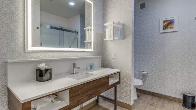 Hampton Inn Suites Gainesville Downtown — Bathroom