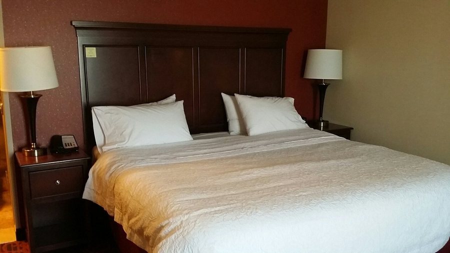 Hampton Inn Suites Grand Forks — Guest room