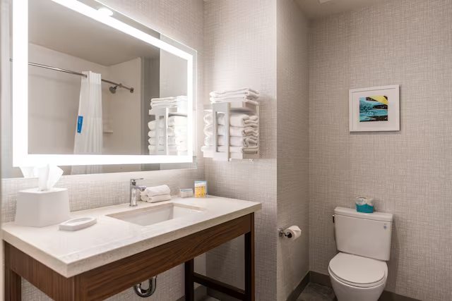 Hampton Inn Suites Houston bush Intercontinental Aprt — Bathroom