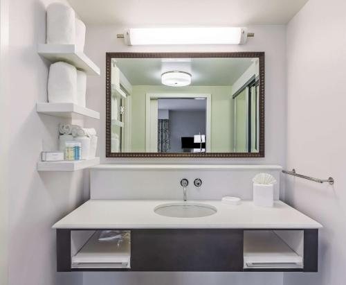 Hampton Inn Suites Houston East Beltway 8 — Bathroom