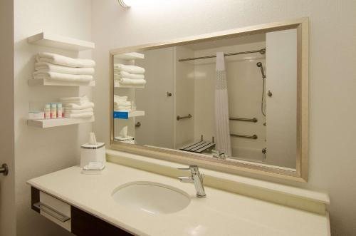 Hampton Inn Suites Huntsville Downtown — Bathroom