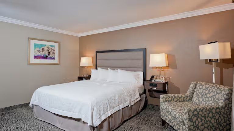 Hampton Inn Suites Jackson ridgeland — Guest room