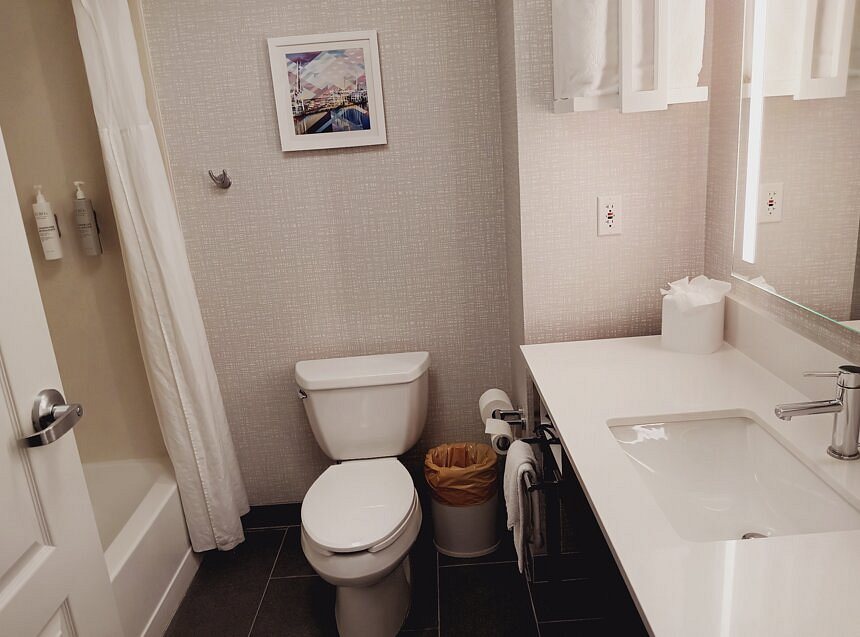 Hampton Inn Suites Jacksonville South Bartram Park Jacksonville Florida — Bathroom