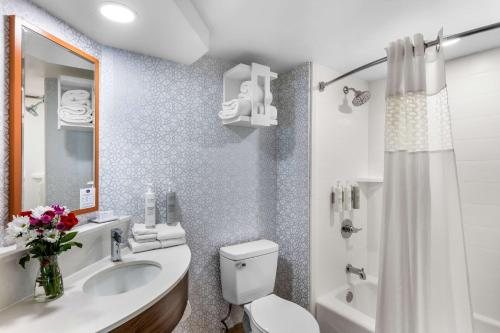 Hampton Inn Suites Knoxville downtown — Bathroom