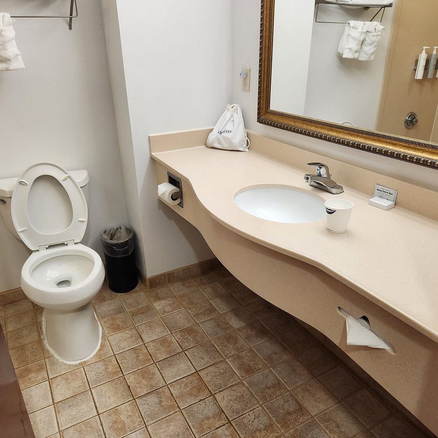 Hampton Inn Suites Leesburg — Bathroom