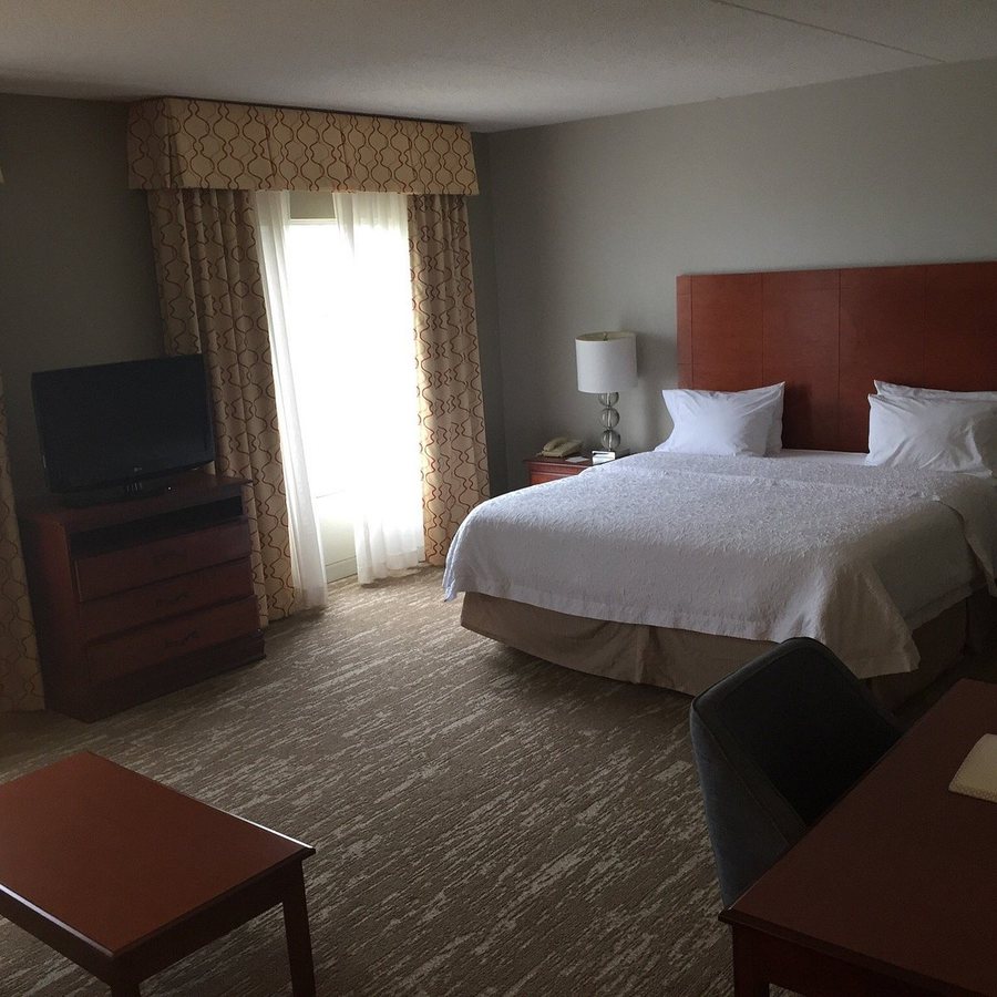 Hampton Inn Suites Leesburg — Guest room