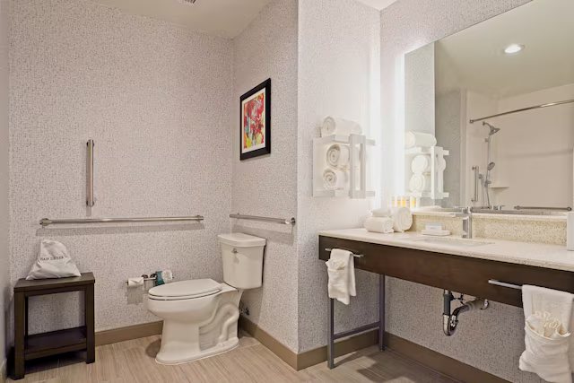 Hampton Inn Suites Lubbock Southwest — Bathroom