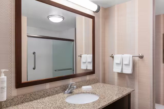 Hampton Inn Suites Madison Downtown Madison Wisconsin — Bathroom