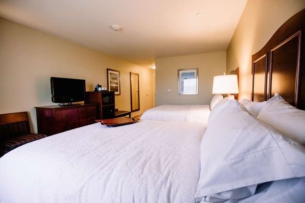 Hampton Inn Suites Minot Airport — Guest room
