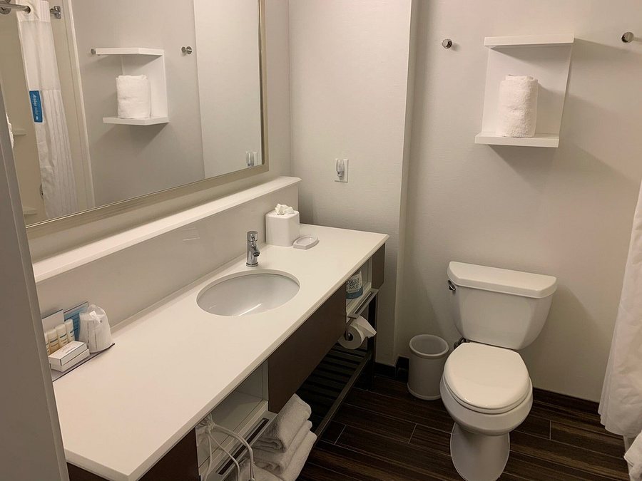Hampton Inn Suites Montgomery Downtown — Bathroom