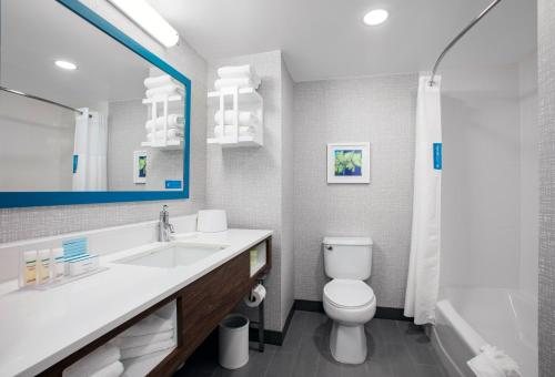 Hampton Inn Suites Orlando South Lake Buena Vista — Bathroom