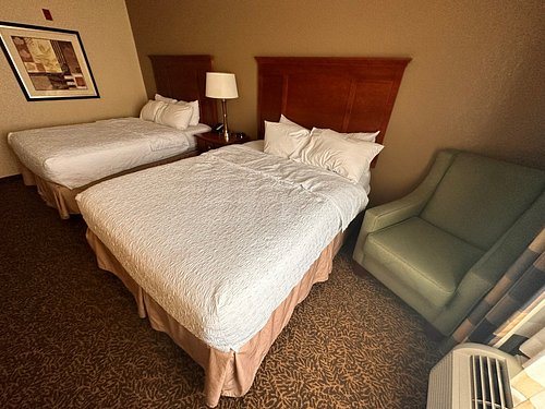 Hampton Inn Suites Paducah — Guest room