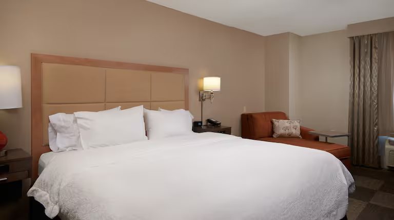 Hampton Inn Suites Phoenix Scottsdale — Guest room