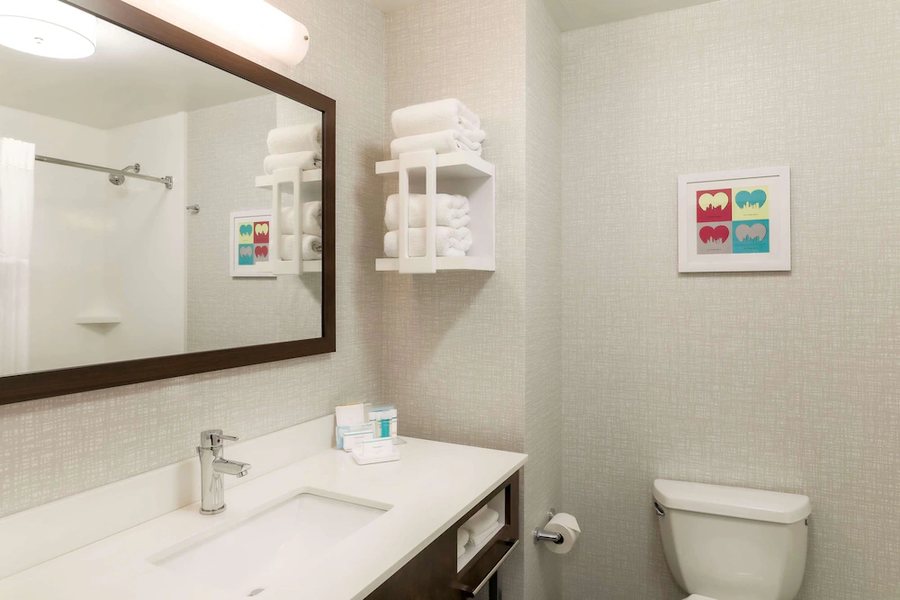 Hampton Inn Suites Pittsburgh Downtown Pittsburgh Pennsylvania — Bathroom