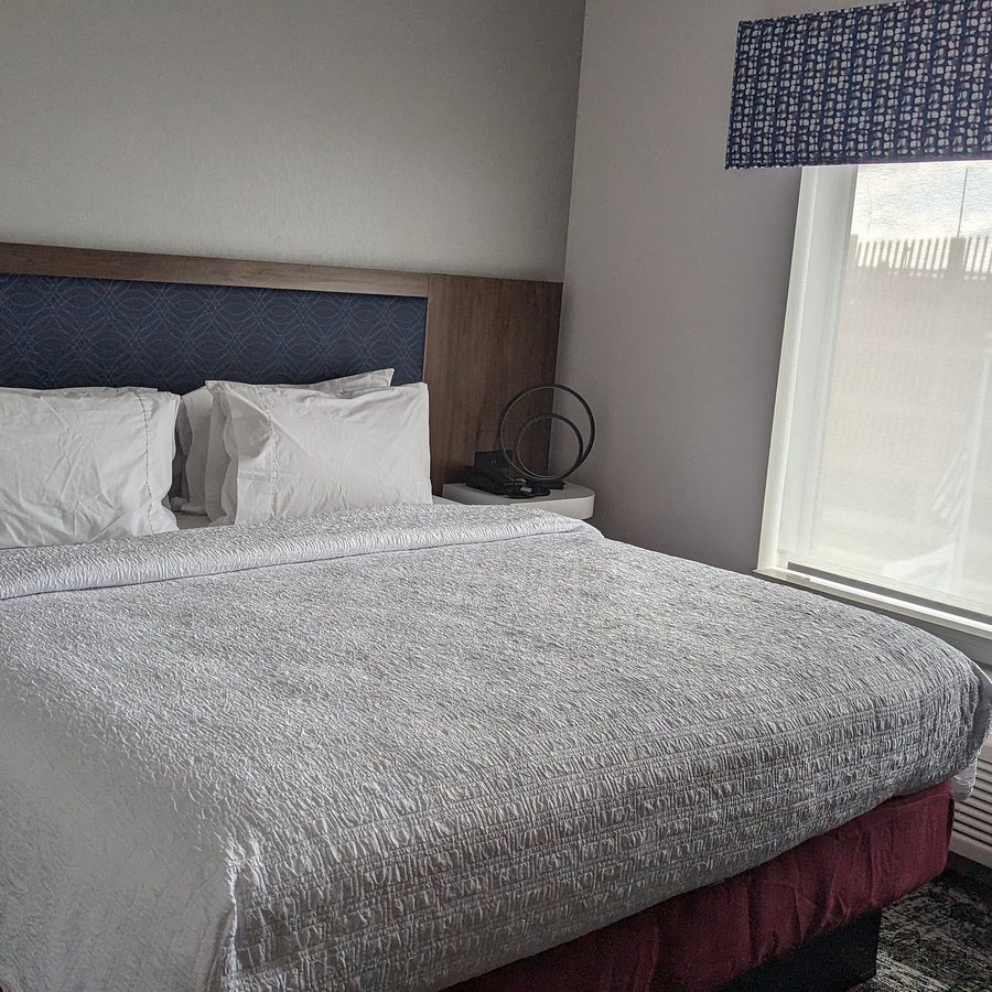 Hampton Inn Suites Rochester Downtown — Guest room