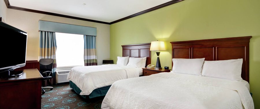 Hampton Inn Suites San Antonio Northeast I 35 — Guest room