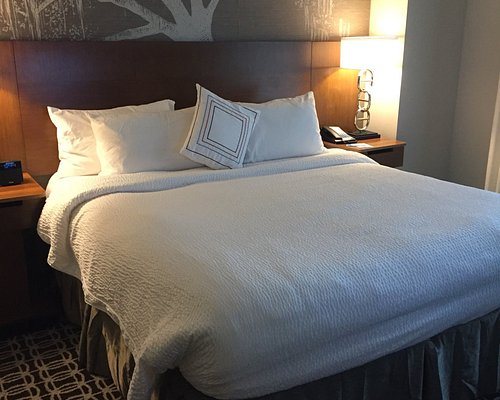 Hampton Inn Suites Savannah Midtown — Guest room