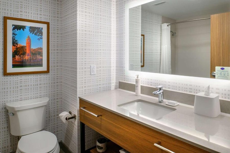 Hampton Inn Suites St Louis South I 55 — Bathroom