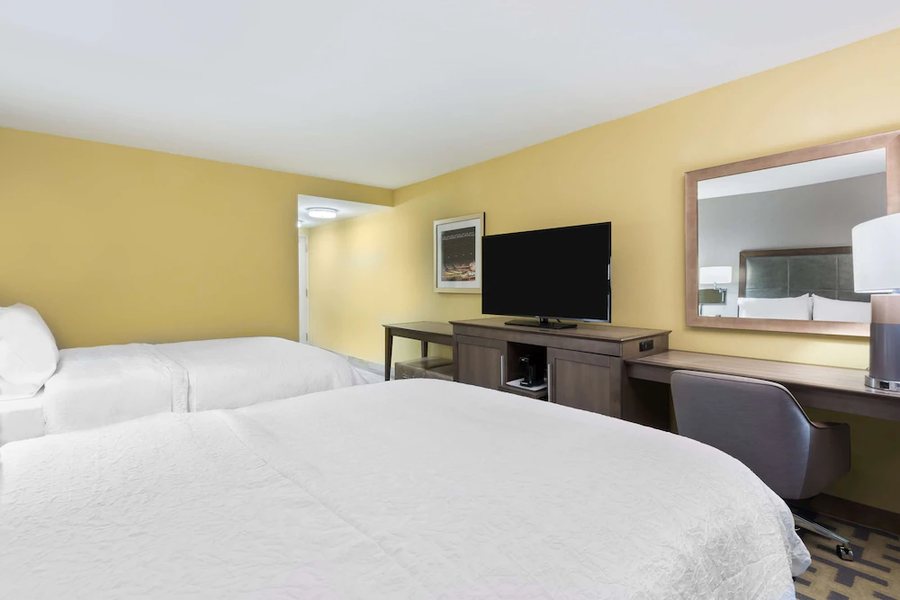 Hampton Inn Suites Tampa Airport Avion Park Westshore Tampa Florida — Guest room