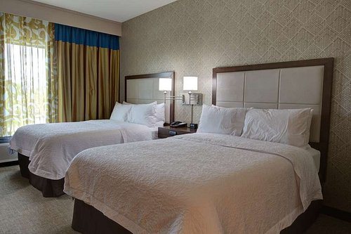 Hampton Inn Suites Tampa Busch Gardens Area — Guest room