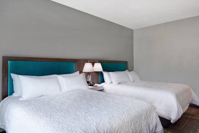 Hampton Inn Suites Tampa Riverview Brandon — Guest room