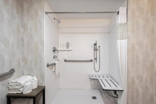 Hampton Inn Suites Williamsburg Historic District — Bathroom