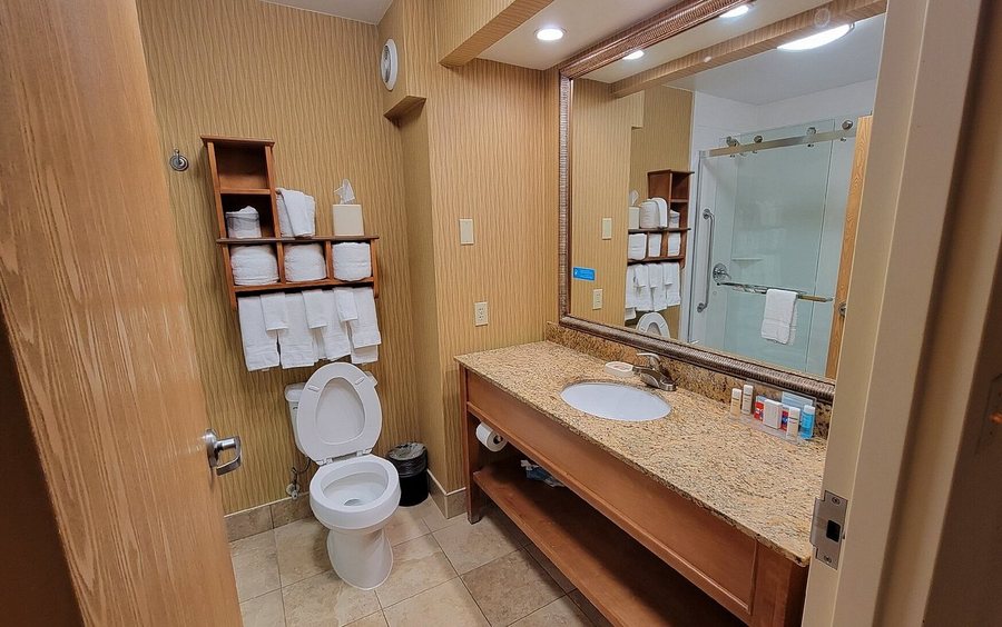 Hampton Inn Tallahassee Central — Bathroom