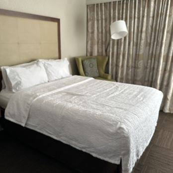 Hampton Inn Tampa Rocky Point Airport — Guest room