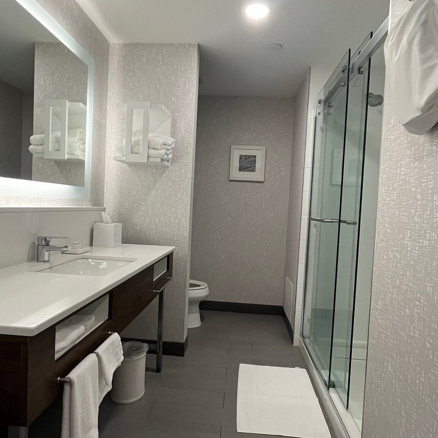 Hampton Inn Waterloo Cedar Valley — Bathroom