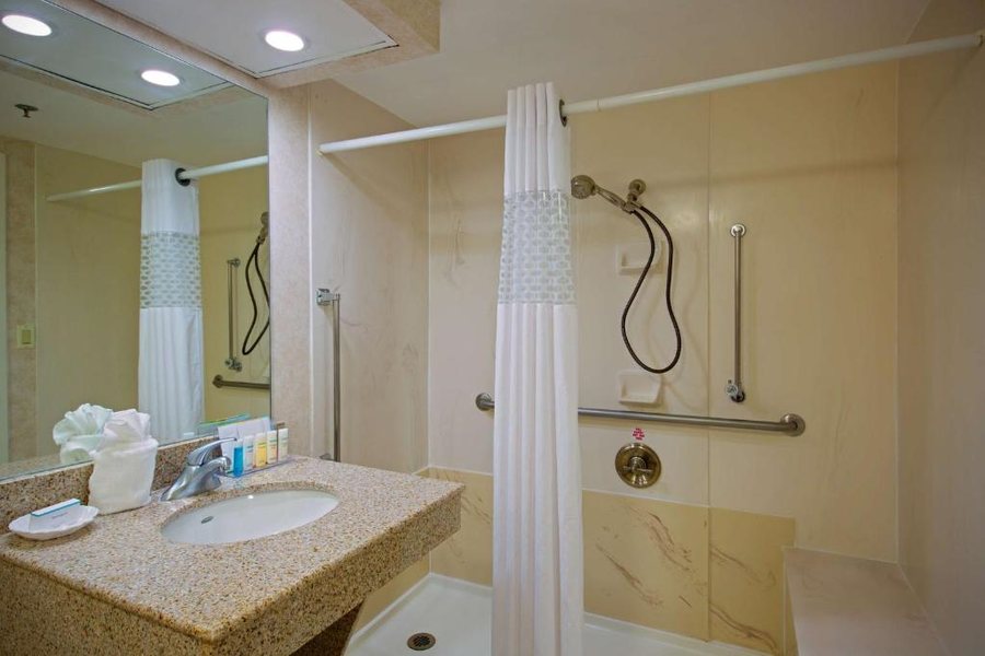 Hampton Inn West Springfield — Bathroom
