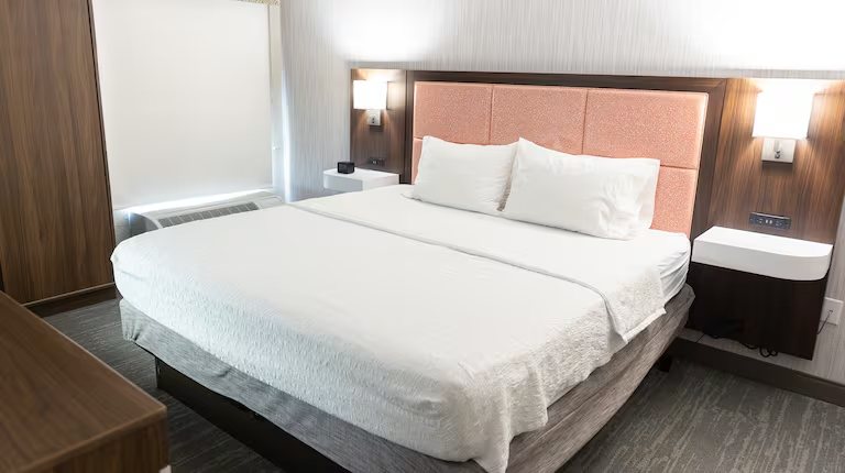 Hampton Inn Williamsport Downtown — Guest room