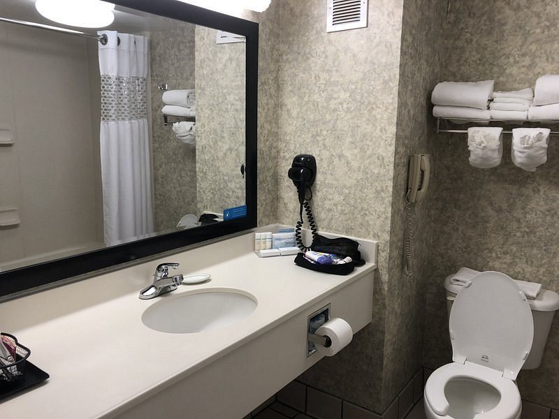 Hampton Inn Williamston — Bathroom