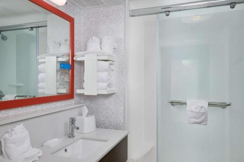 Hampton Inn Wilmington Medical Park — Bathroom