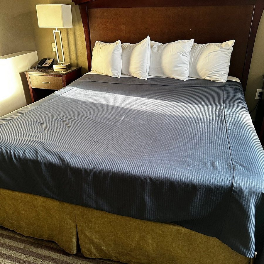 Harbor Inn Suites — Guest room