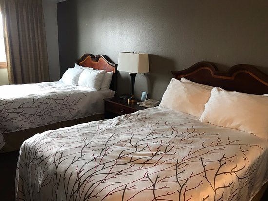 Harbor Winds Hotel — Guest room